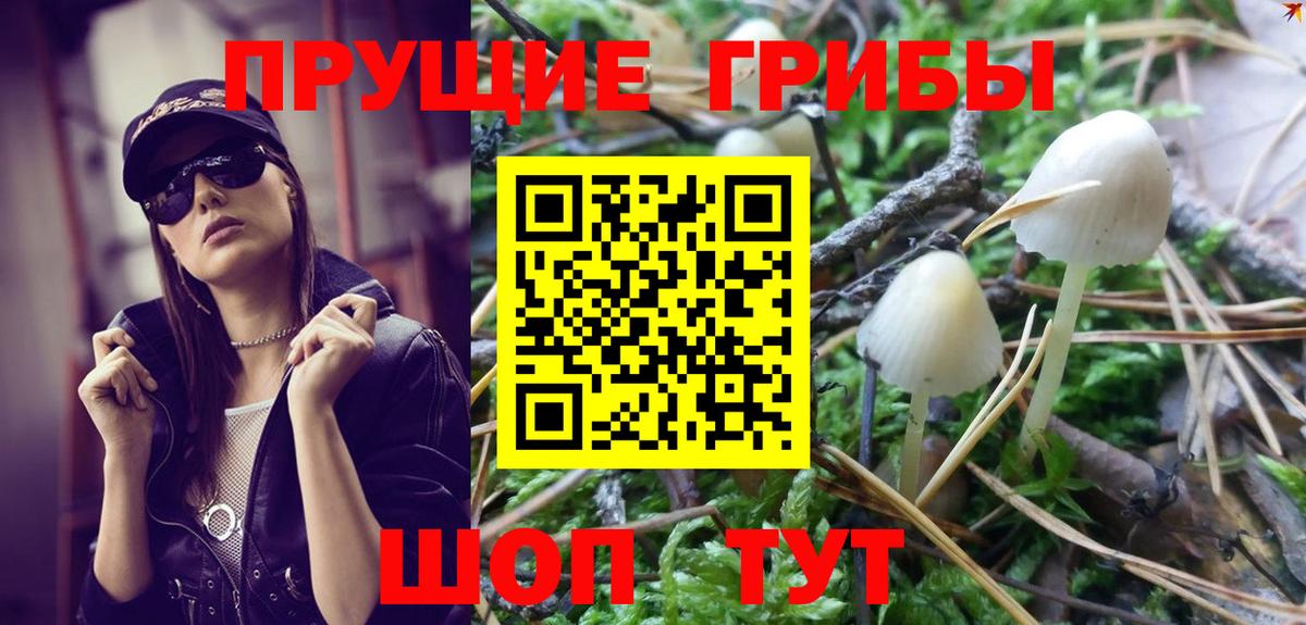 Ирбит  Псилоцибиновые грибы Cubensis  Вход с VPN 
